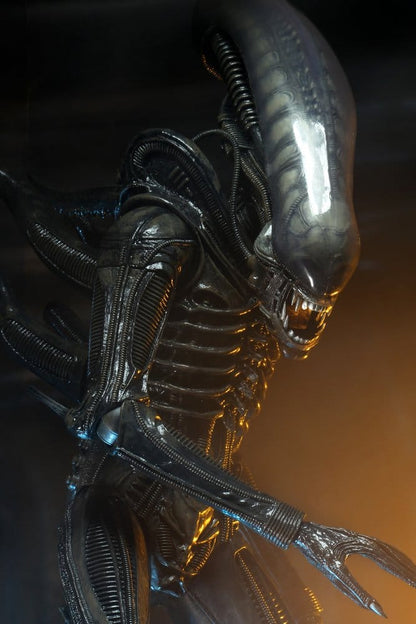 BIG CHAP XENOMORPH – ALIEN FIGURA 1/4 56 CM (NECA – ALIEN 1979)