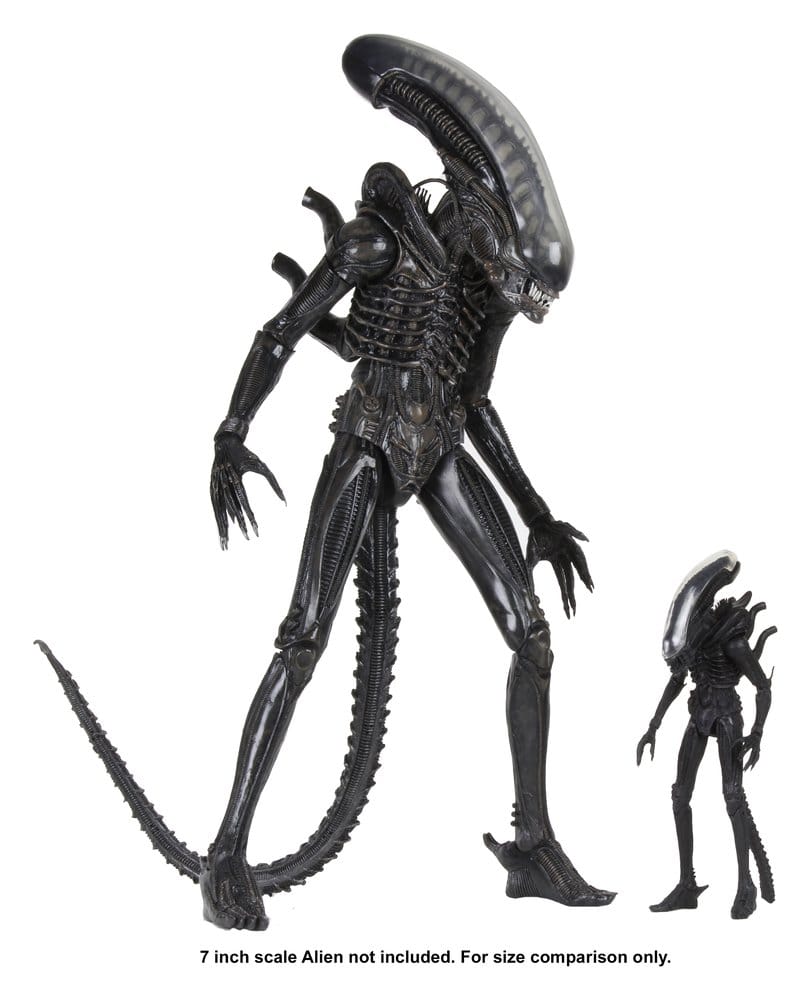 BIG CHAP XENOMORPH – ALIEN FIGURA 1/4 56 CM (NECA – ALIEN 1979)