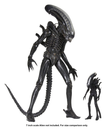 BIG CHAP XENOMORPH – ALIEN FIGURA 1/4 56 CM (NECA – ALIEN 1979)