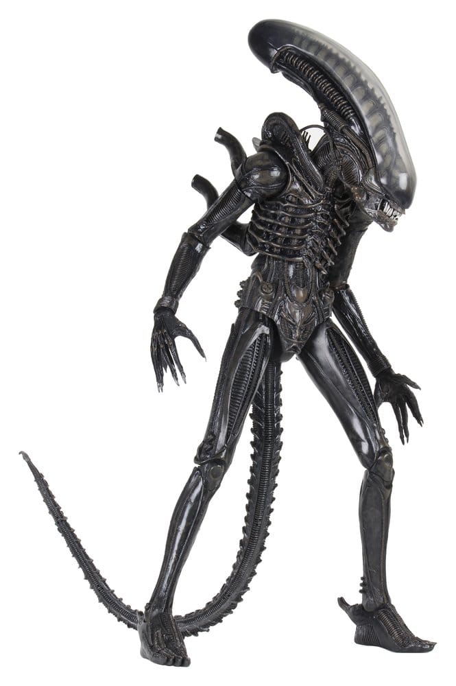BIG CHAP XENOMORPH – ALIEN FIGURA 1/4 56 CM (NECA – ALIEN 1979)