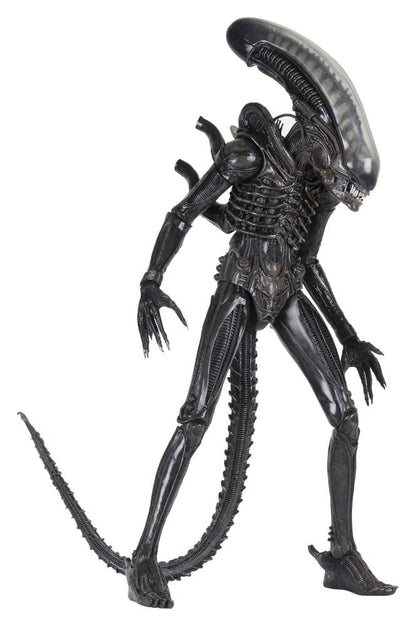 BIG CHAP XENOMORPH – ALIEN FIGURA 1/4 56 CM (NECA – ALIEN 1979)