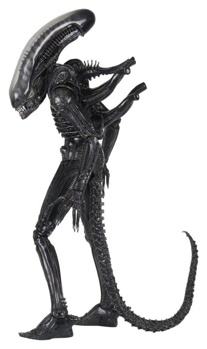 BIG CHAP XENOMORPH – ALIEN FIGURA 1/4 56 CM (NECA – ALIEN 1979)