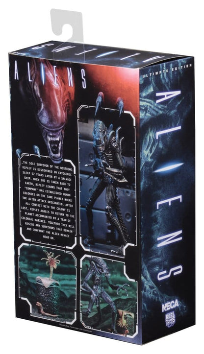 WARRIOR XENOMORPH BLUE – ALIENS FIGURA ULTIMATE 23 CM (NECA – ALIENS 1986)
