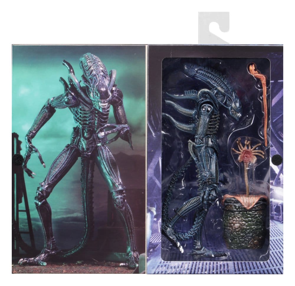 WARRIOR XENOMORPH BLUE – ALIENS FIGURA ULTIMATE 23 CM (NECA – ALIENS 1986)