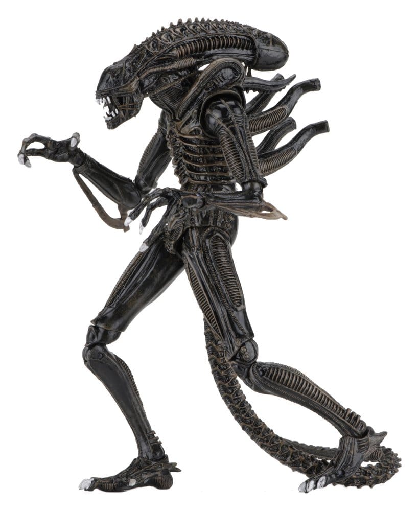 WARRIOR XENOMORPH BROWN – ALIENS FIGURA ULTIMATE 23 CM (NECA – ALIENS 1986)