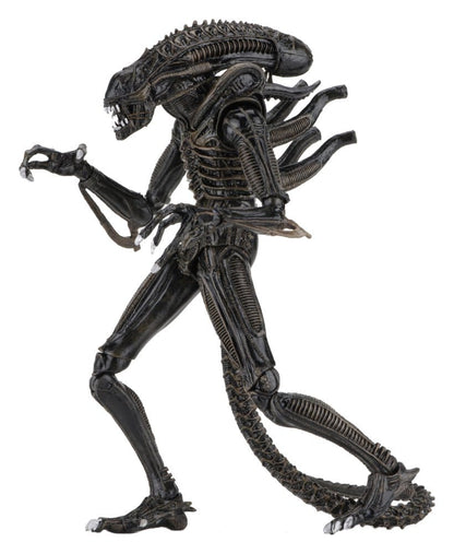 WARRIOR XENOMORPH BROWN – ALIENS FIGURA ULTIMATE 23 CM (NECA – ALIENS 1986)