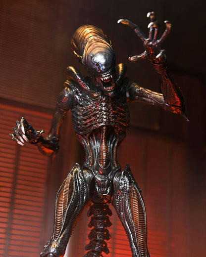 ULTIMATE SCORCHED XENOMORPH – FIGURA NECA 18 CM – ALIEN ROMULUS