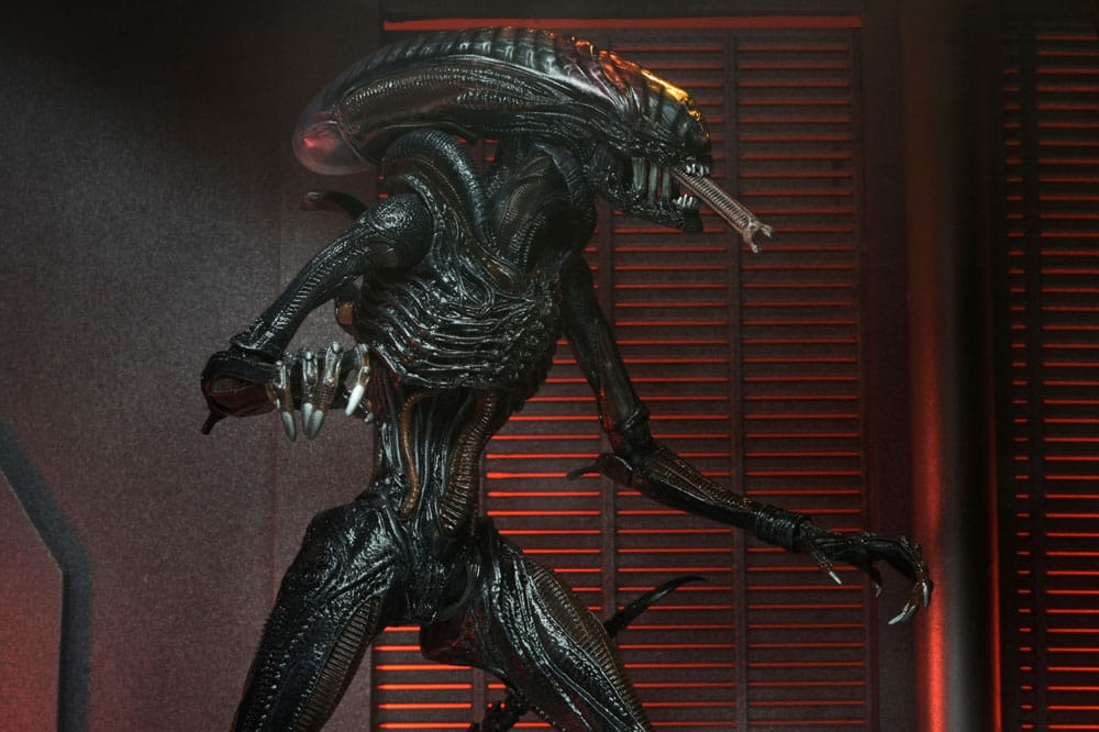 ULTIMATE SCORCHED XENOMORPH – FIGURA NECA 18 CM – ALIEN ROMULUS