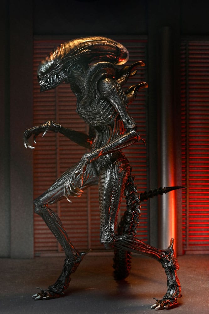 ULTIMATE SCORCHED XENOMORPH – FIGURA NECA 18 CM – ALIEN ROMULUS