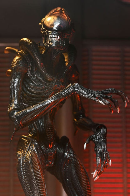 ULTIMATE SCORCHED XENOMORPH – FIGURA NECA 18 CM – ALIEN ROMULUS