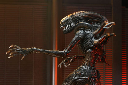 ULTIMATE SCORCHED XENOMORPH – FIGURA NECA 18 CM – ALIEN ROMULUS