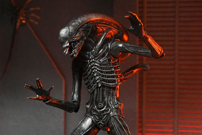 ALIEN ROMULUS – XENOMORPH XX121 ULTIMATE – FIGURA 18 CM – NECA – MOVIE COLLECTIBLE