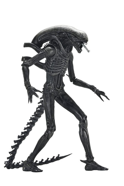 ALIEN ROMULUS – XENOMORPH XX121 ULTIMATE – FIGURA 18 CM – NECA – MOVIE COLLECTIBLE