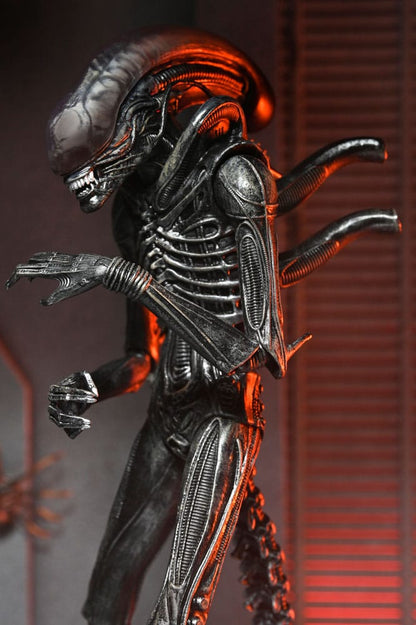 ALIEN ROMULUS – XENOMORPH XX121 ULTIMATE – FIGURA 18 CM – NECA – MOVIE COLLECTIBLE