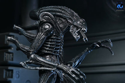 ALIENS ULTIMATE WARRIOR XENOMORPH BLACK 40TH ANNIVERSARY (NECA – ALIENS)