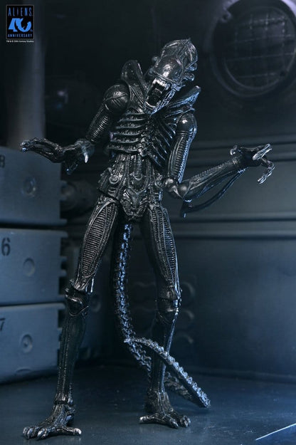 ALIENS ULTIMATE WARRIOR XENOMORPH BLACK 40TH ANNIVERSARY (NECA – ALIENS)