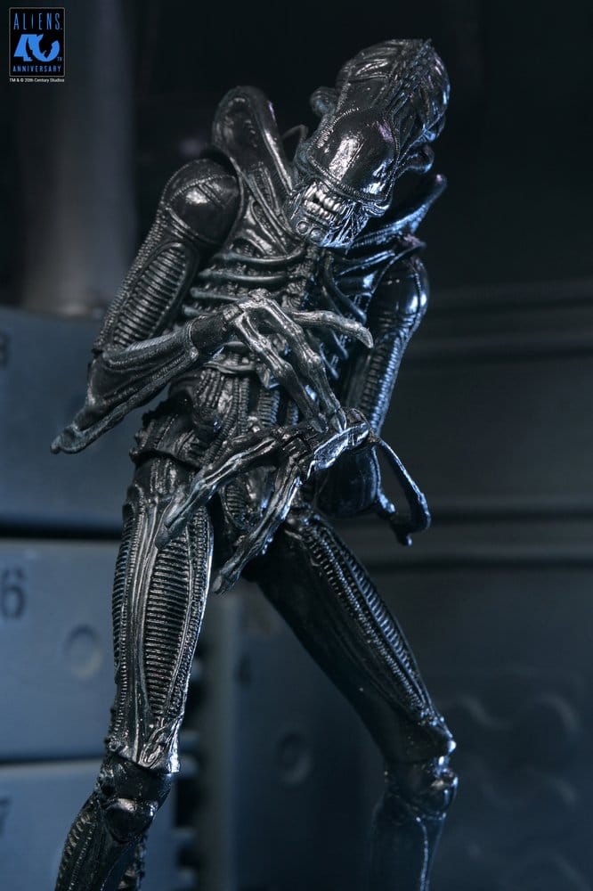 ALIENS ULTIMATE WARRIOR XENOMORPH BLACK 40TH ANNIVERSARY (NECA – ALIENS)