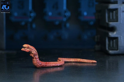 ALIENS ULTIMATE WARRIOR XENOMORPH BLACK 40TH ANNIVERSARY (NECA – ALIENS)