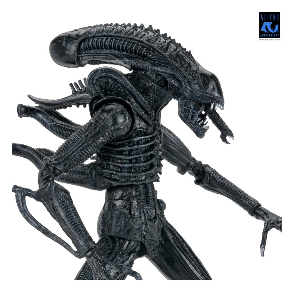 ALIENS ULTIMATE WARRIOR XENOMORPH BLACK 40TH ANNIVERSARY (NECA – ALIENS)