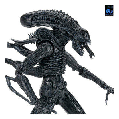 ALIENS ULTIMATE WARRIOR XENOMORPH BLACK 40TH ANNIVERSARY (NECA – ALIENS)
