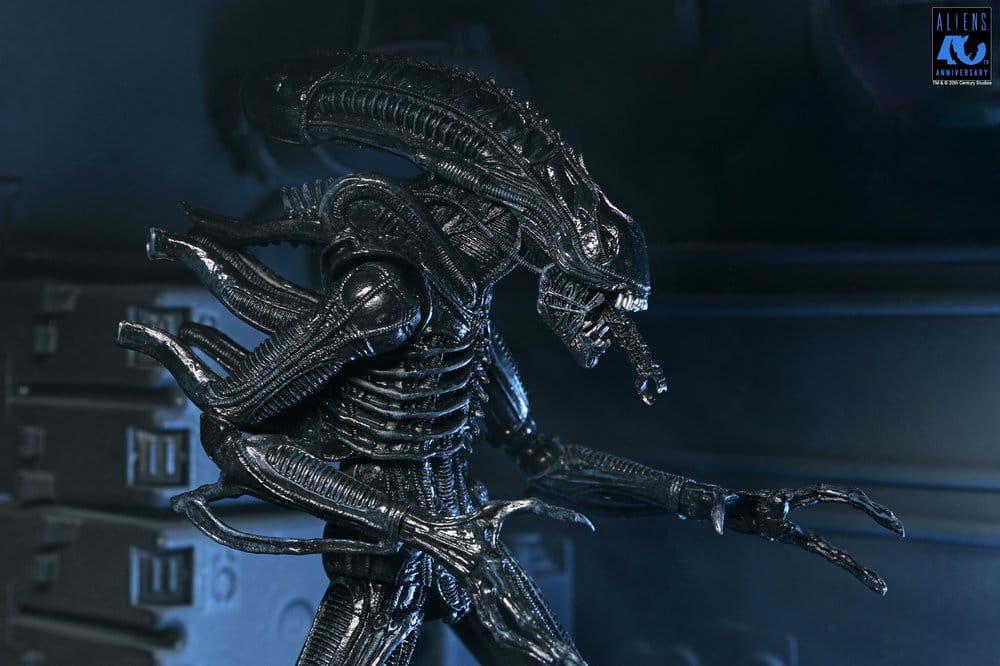 ALIENS ULTIMATE WARRIOR XENOMORPH BLACK 40TH ANNIVERSARY (NECA – ALIENS)