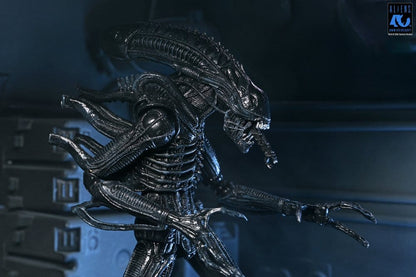 ALIENS ULTIMATE WARRIOR XENOMORPH BLACK 40TH ANNIVERSARY (NECA – ALIENS)