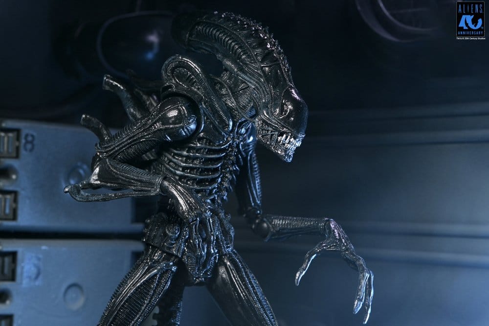 ALIENS ULTIMATE WARRIOR XENOMORPH BLACK 40TH ANNIVERSARY (NECA – ALIENS)
