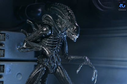 ALIENS ULTIMATE WARRIOR XENOMORPH BLACK 40TH ANNIVERSARY (NECA – ALIENS)