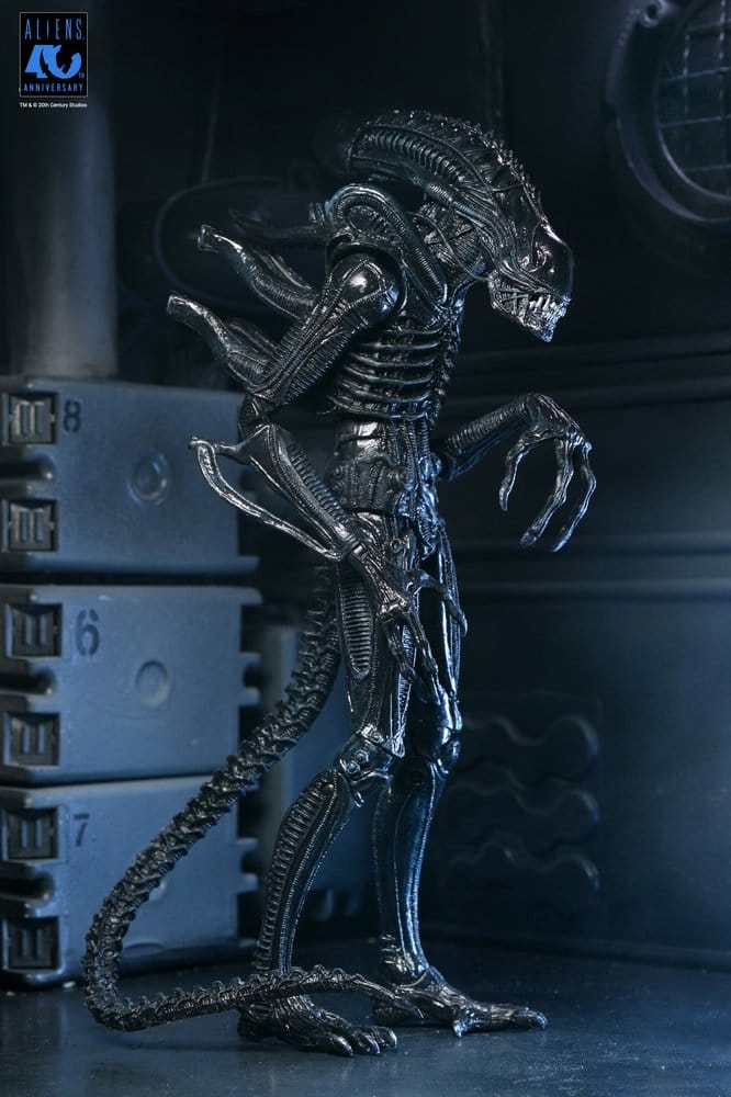 ALIENS ULTIMATE WARRIOR XENOMORPH BLACK 40TH ANNIVERSARY (NECA – ALIENS)