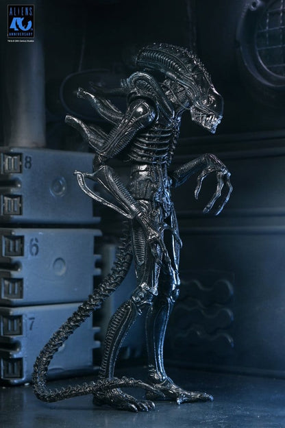 ALIENS ULTIMATE WARRIOR XENOMORPH BLACK 40TH ANNIVERSARY (NECA – ALIENS)