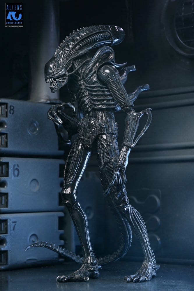 ALIENS ULTIMATE WARRIOR XENOMORPH BLACK 40TH ANNIVERSARY (NECA – ALIENS)