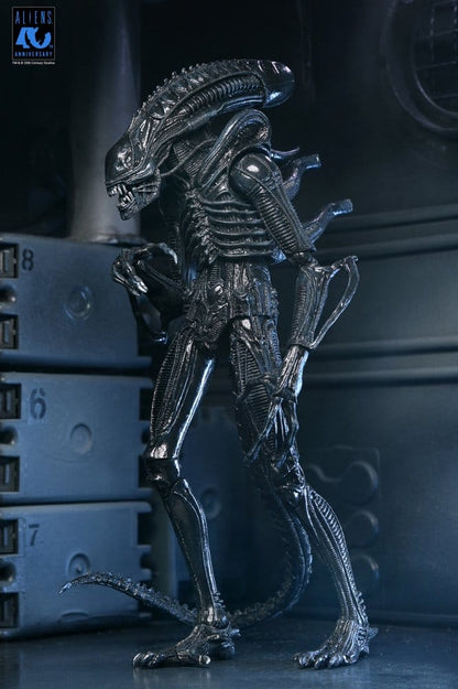 ALIENS ULTIMATE WARRIOR XENOMORPH BLACK 40TH ANNIVERSARY (NECA – ALIENS)