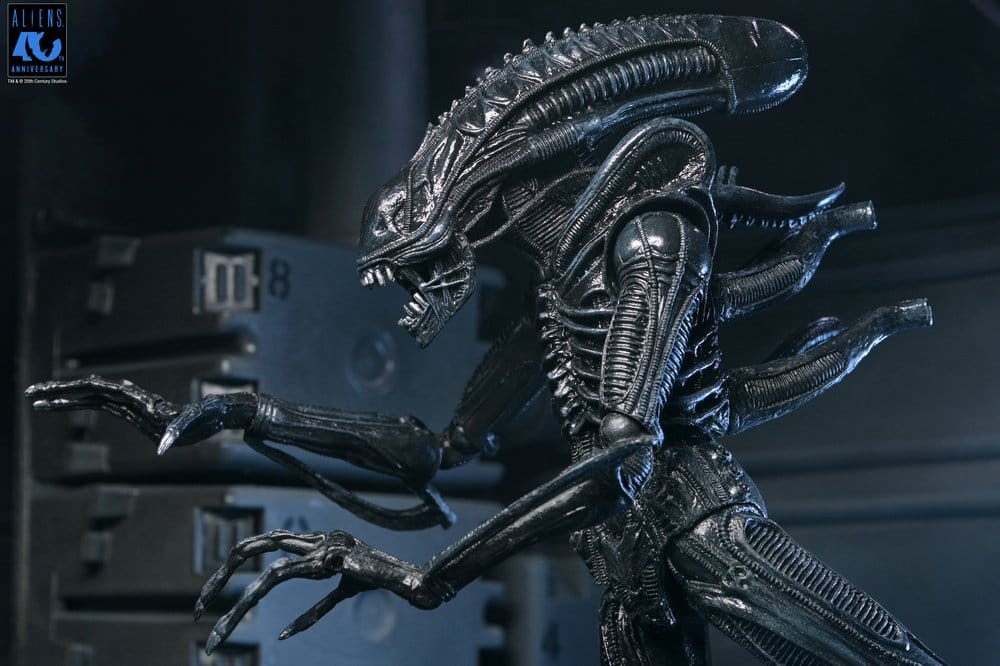 ALIENS ULTIMATE WARRIOR XENOMORPH BLACK 40TH ANNIVERSARY (NECA – ALIENS)