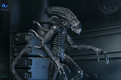 ALIENS ULTIMATE WARRIOR XENOMORPH BLACK 40TH ANNIVERSARY (NECA – ALIENS)