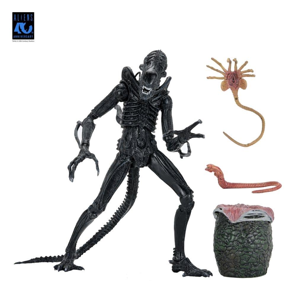 ALIENS ULTIMATE WARRIOR XENOMORPH BLACK 40TH ANNIVERSARY (NECA – ALIENS)