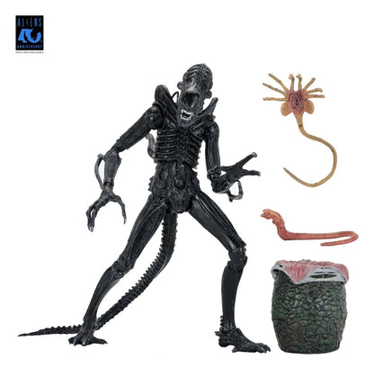 ALIENS ULTIMATE WARRIOR XENOMORPH BLACK 40TH ANNIVERSARY (NECA – ALIENS)