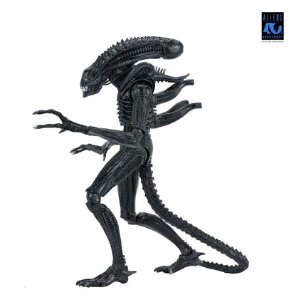 ALIENS ULTIMATE WARRIOR XENOMORPH BLACK 40TH ANNIVERSARY (NECA – ALIENS)