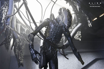 ALIEN ROMULUS – FIGURA NECA 1/6 – DELUXE SUSPENDED LAB XENOMORPH XX121