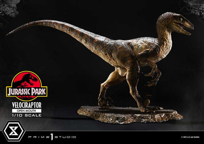 VELOCIRAPTOR OPEN MOUTH – ESTATUA 1/10 (PRIME 1 STUDIO – JURASSIC PARK)