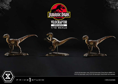 VELOCIRAPTOR OPEN MOUTH – ESTATUA 1/10 (PRIME 1 STUDIO – JURASSIC PARK)