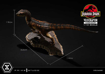 VELOCIRAPTOR CLOSED MOUTH – ESTATUA 1/10 (PRIME 1 STUDIO – JURASSIC PARK)