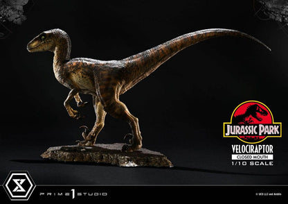 VELOCIRAPTOR CLOSED MOUTH – ESTATUA 1/10 (PRIME 1 STUDIO – JURASSIC PARK)