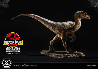 VELOCIRAPTOR CLOSED MOUTH – ESTATUA 1/10 (PRIME 1 STUDIO – JURASSIC PARK)