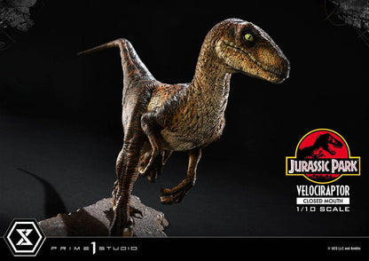 VELOCIRAPTOR CLOSED MOUTH – ESTATUA 1/10 (PRIME 1 STUDIO – JURASSIC PARK)
