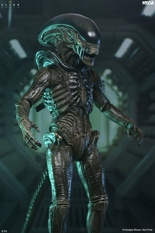 Xenomorph Figura Ultimate Alien Earth 18 cm NECA