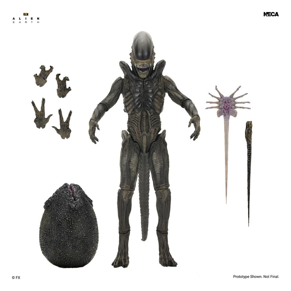 Figura Xenomorph Ultimate Alien Earth NECA con huevo Alien, Facehugger y Chestburster