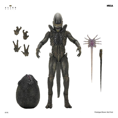Figura Xenomorph Ultimate Alien Earth NECA con huevo Alien, Facehugger y Chestburster